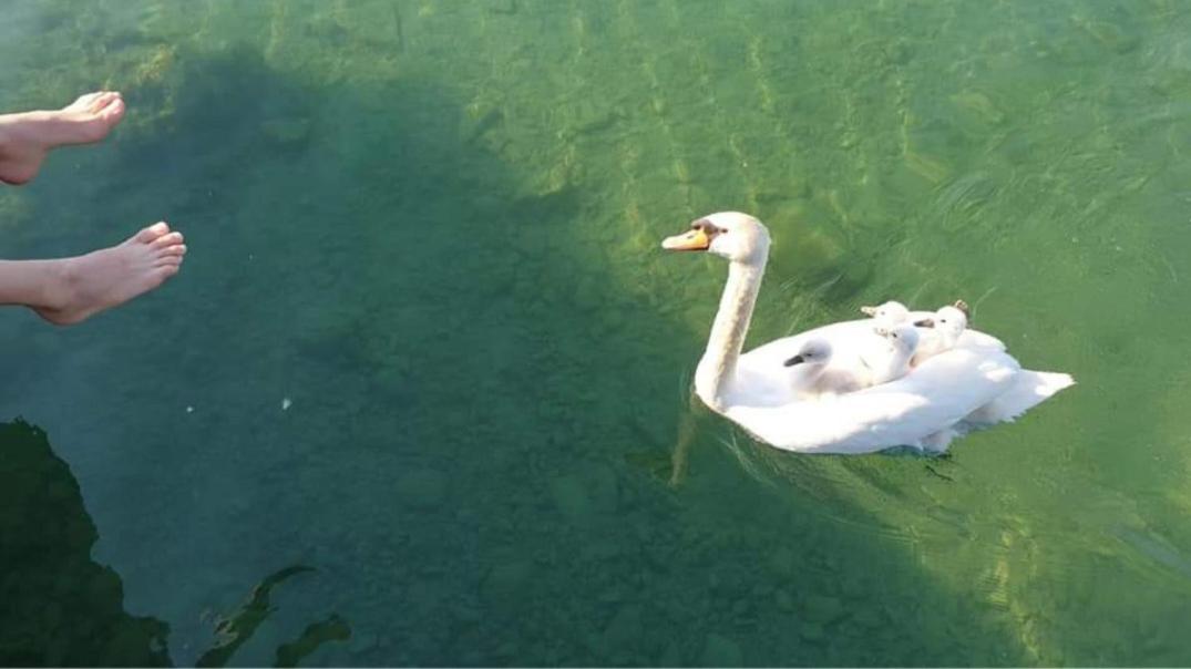 Lago Blue Apartment Sirmione Ngoại thất bức ảnh